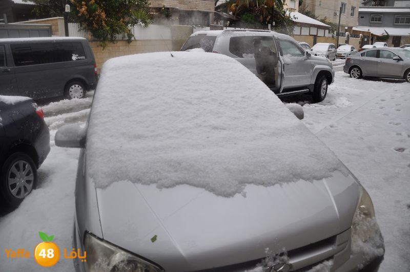 iceman lud 1213 (75).JPG